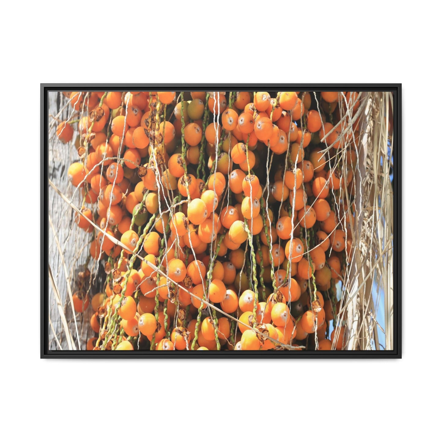 Clusters of Sunlight - Unique Canvas Wall Art - Art By Earth