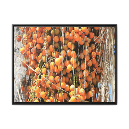 Clusters of Sunlight - Unique Canvas Wall Art - Art By Earth