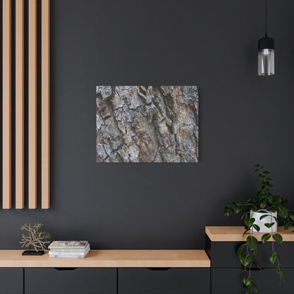 Rugged Canvas - Unique Frameless Canvas Wall Art - Art By Earth