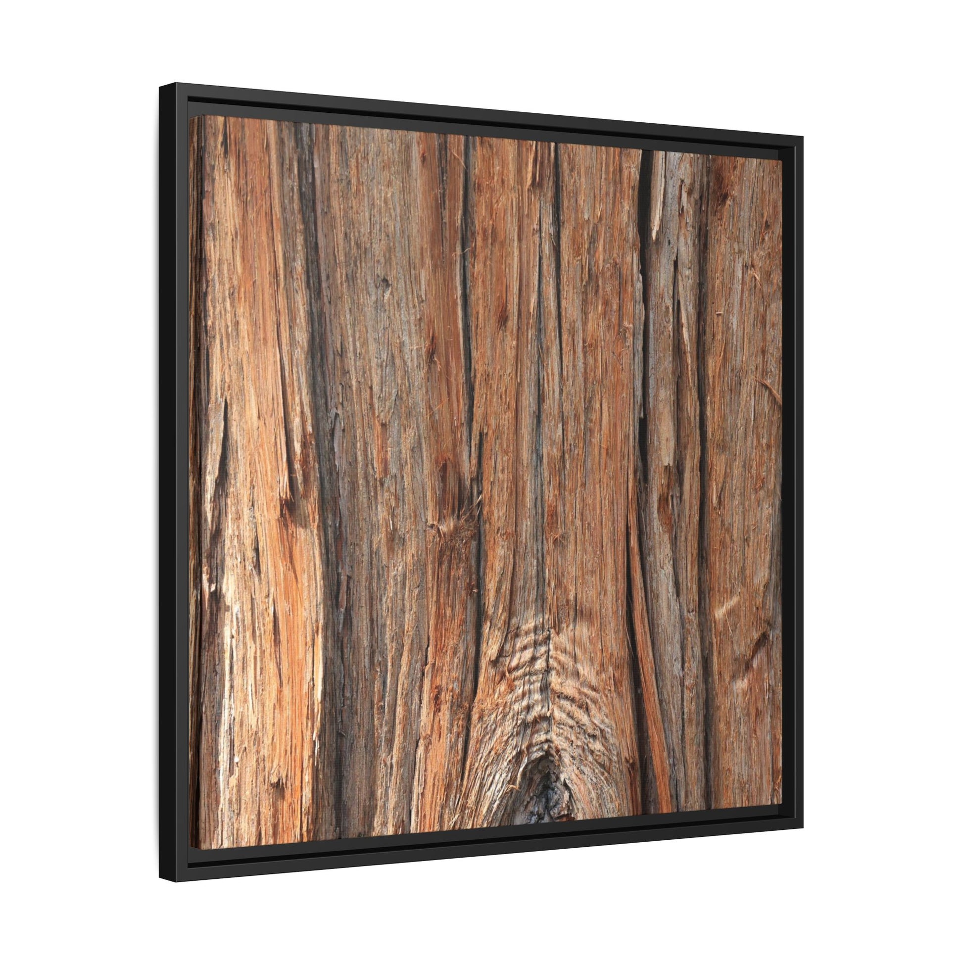 Echoes of Timber - Unique Stretched Canvas Wall Art - Art By Earth