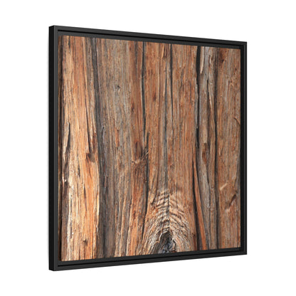 Echoes of Timber - Unique Stretched Canvas Wall Art - Art By Earth