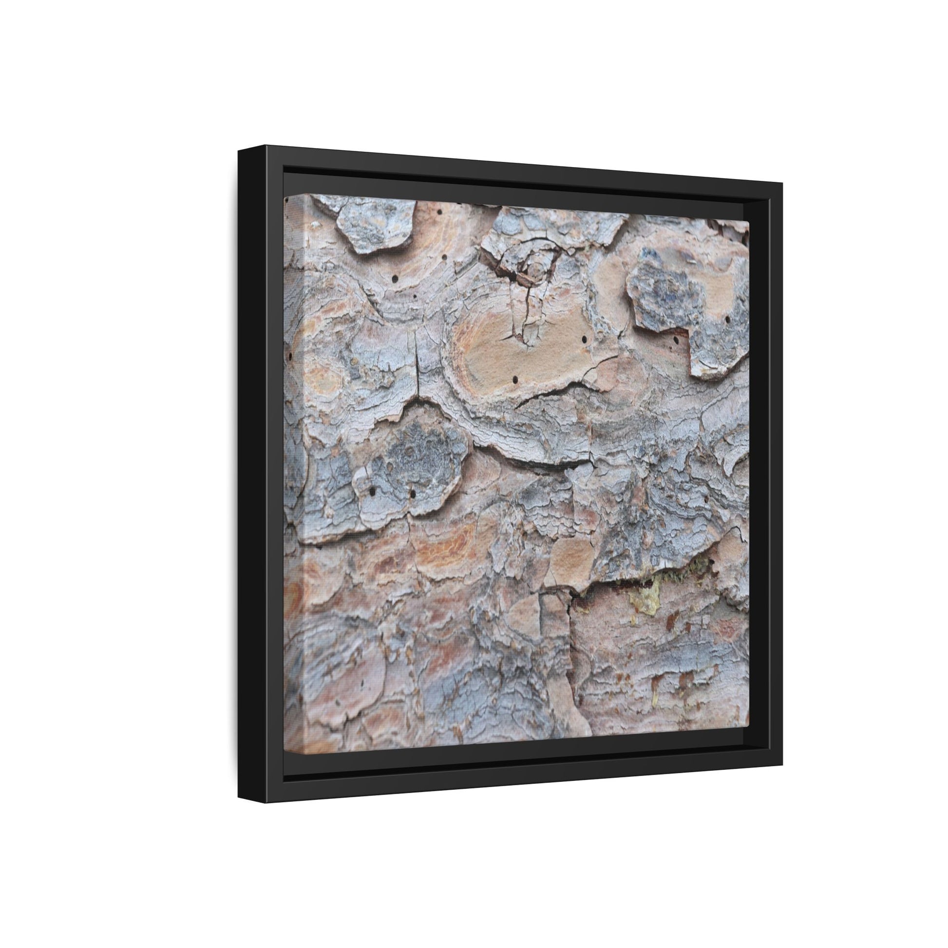 Peeling Memories - Unique Stretched Canvas Wall Art - Art By Earth