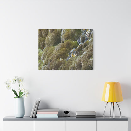 Verdant Stone Symphony - Unique Frameless Canvas Wall Art