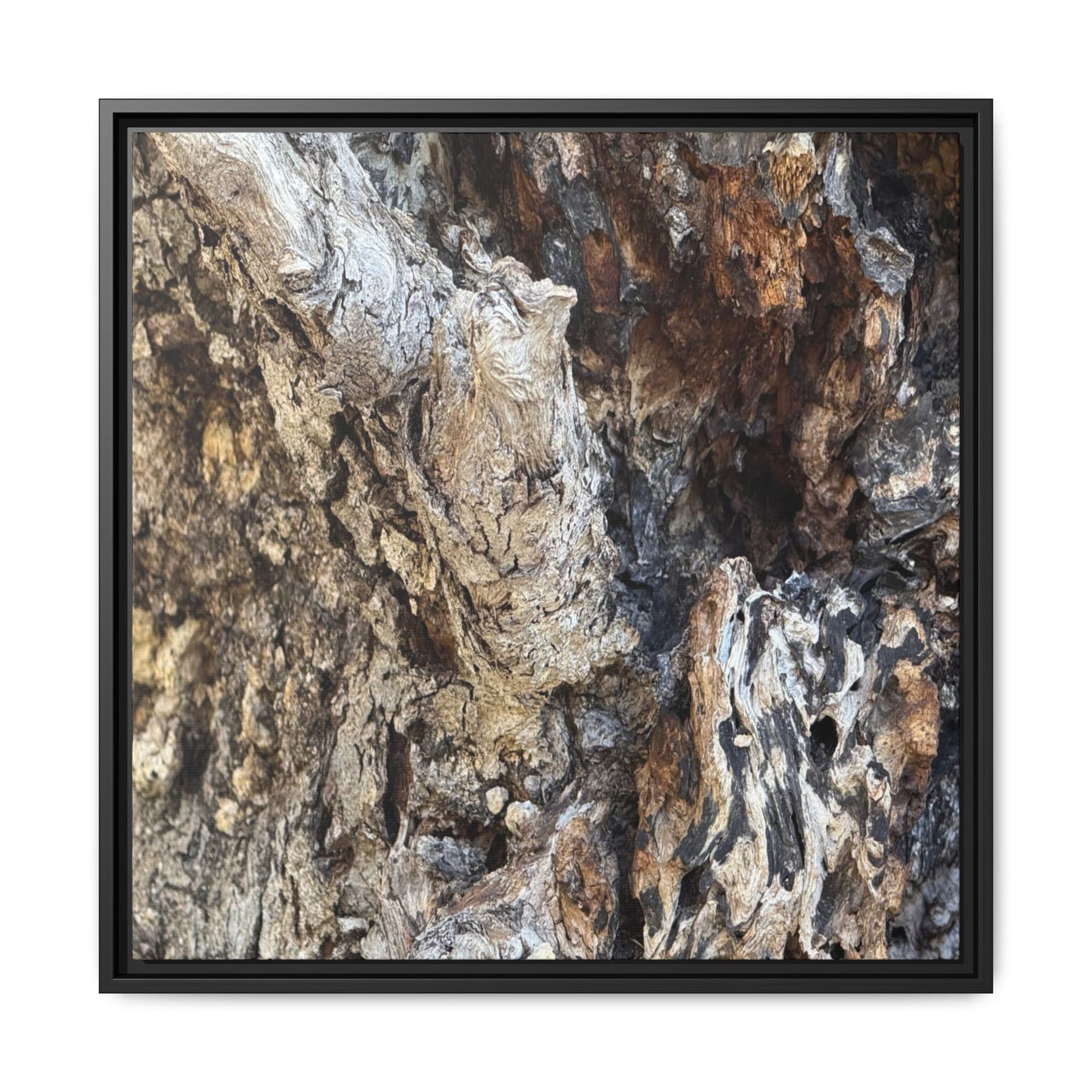 Ancient Tree Texture - Unique Stretched Canvas Wall Art - Art By Earth