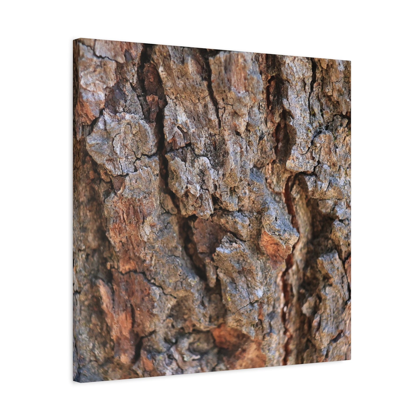 Nature's Skin - Unique Frameless Canvas Wall Art - Art By Earth