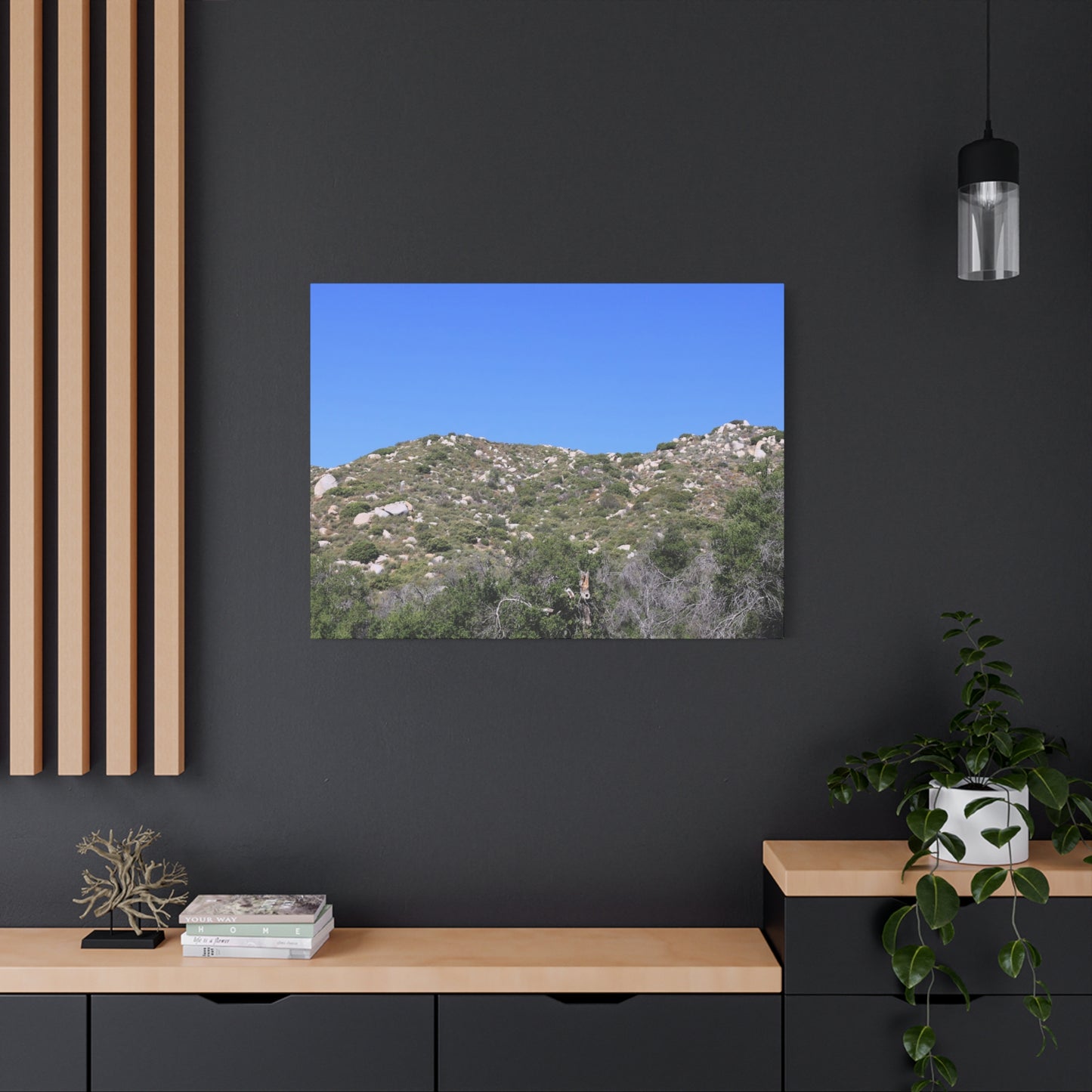 Rocky Hills with Desert Vegetation - Unique Frameless Canvas Wall Art