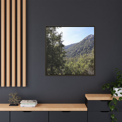 Mountain Valley Forest - Unique Stretched Canvas Wall Art