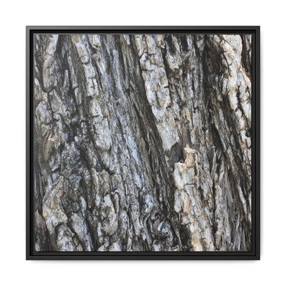 Twisted Textures - Unique Stretched Canvas Wall Art - Art By Earth