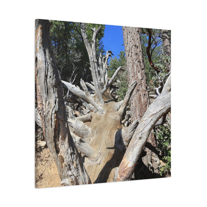 Twisted Roots - Unique Frameless Canvas Wall Art