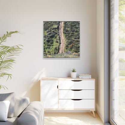 Desert Path Through Sage - Unique Stretched Canvas Wall Art - Art By Earth