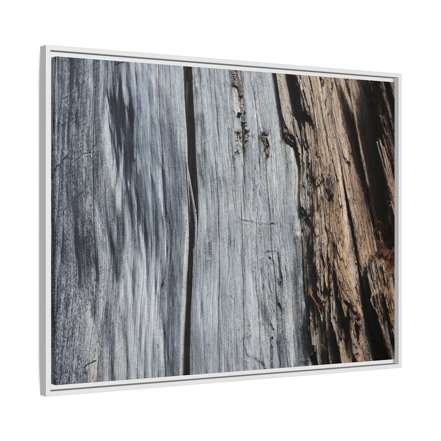 Wood's Lament - Unique Stretched Canvas Wall Art - Art By Earth