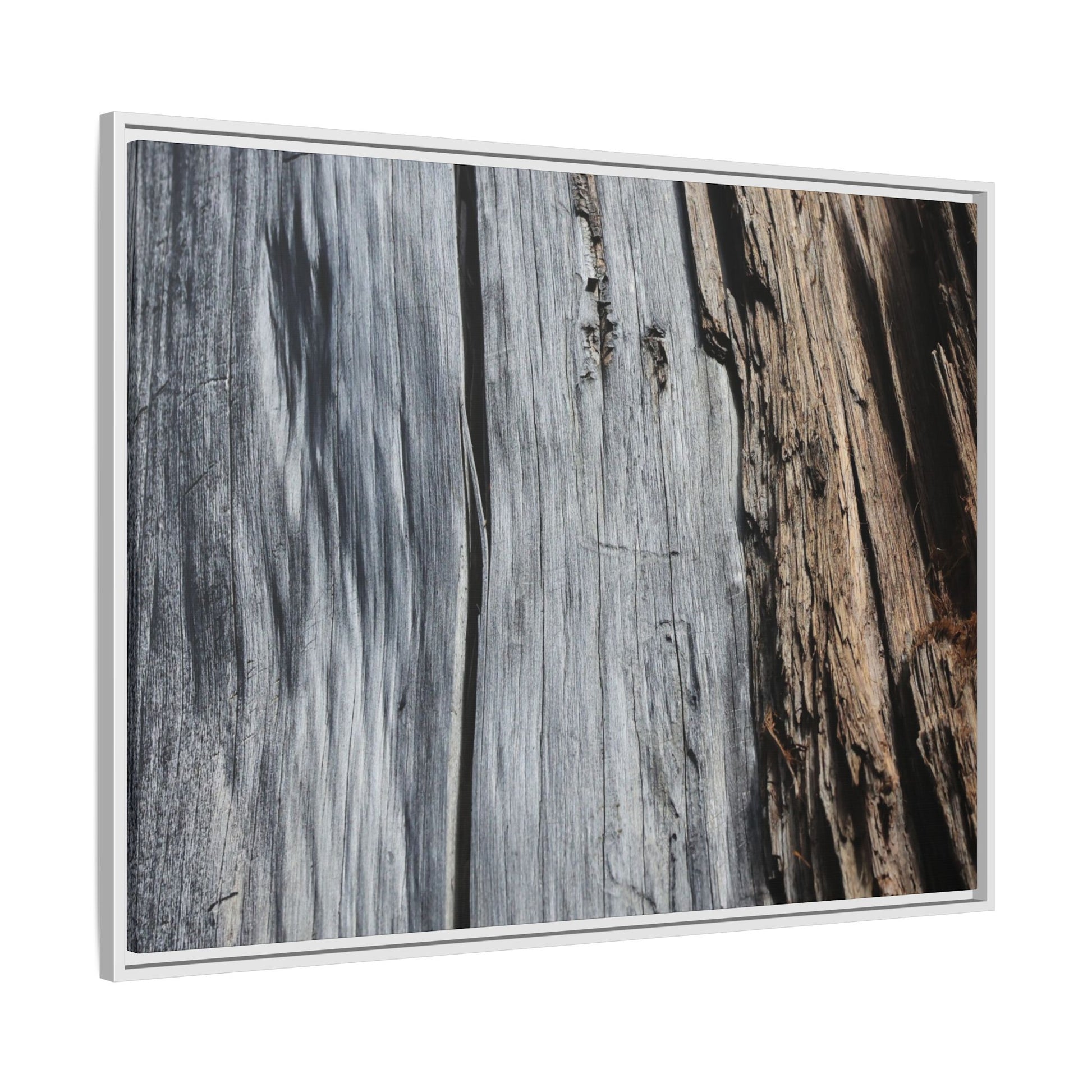 Wood's Lament - Unique Stretched Canvas Wall Art - Art By Earth