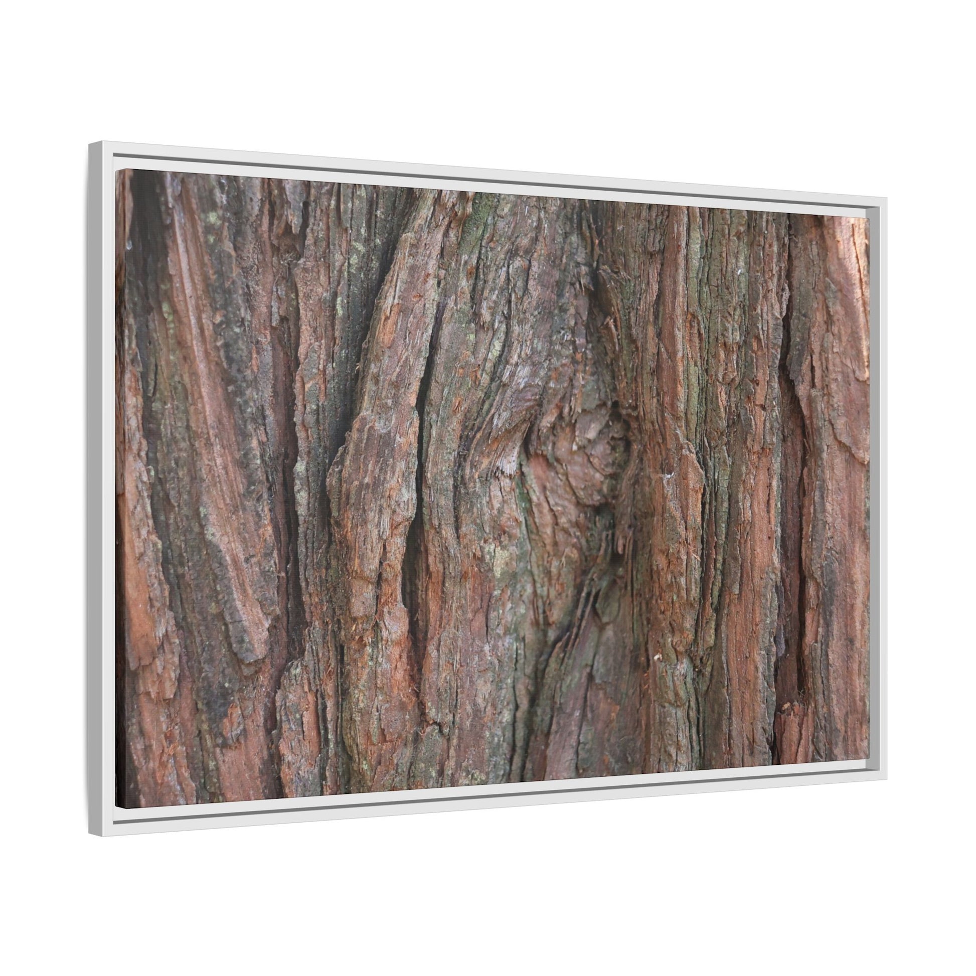 Rugged Textures - Unique Stretched Canvas Wall Art - Art By Earth