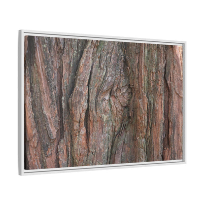 Rugged Textures - Unique Stretched Canvas Wall Art - Art By Earth