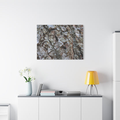 Cracked Echoes - Unique Frameless Canvas Wall Art - Art By Earth