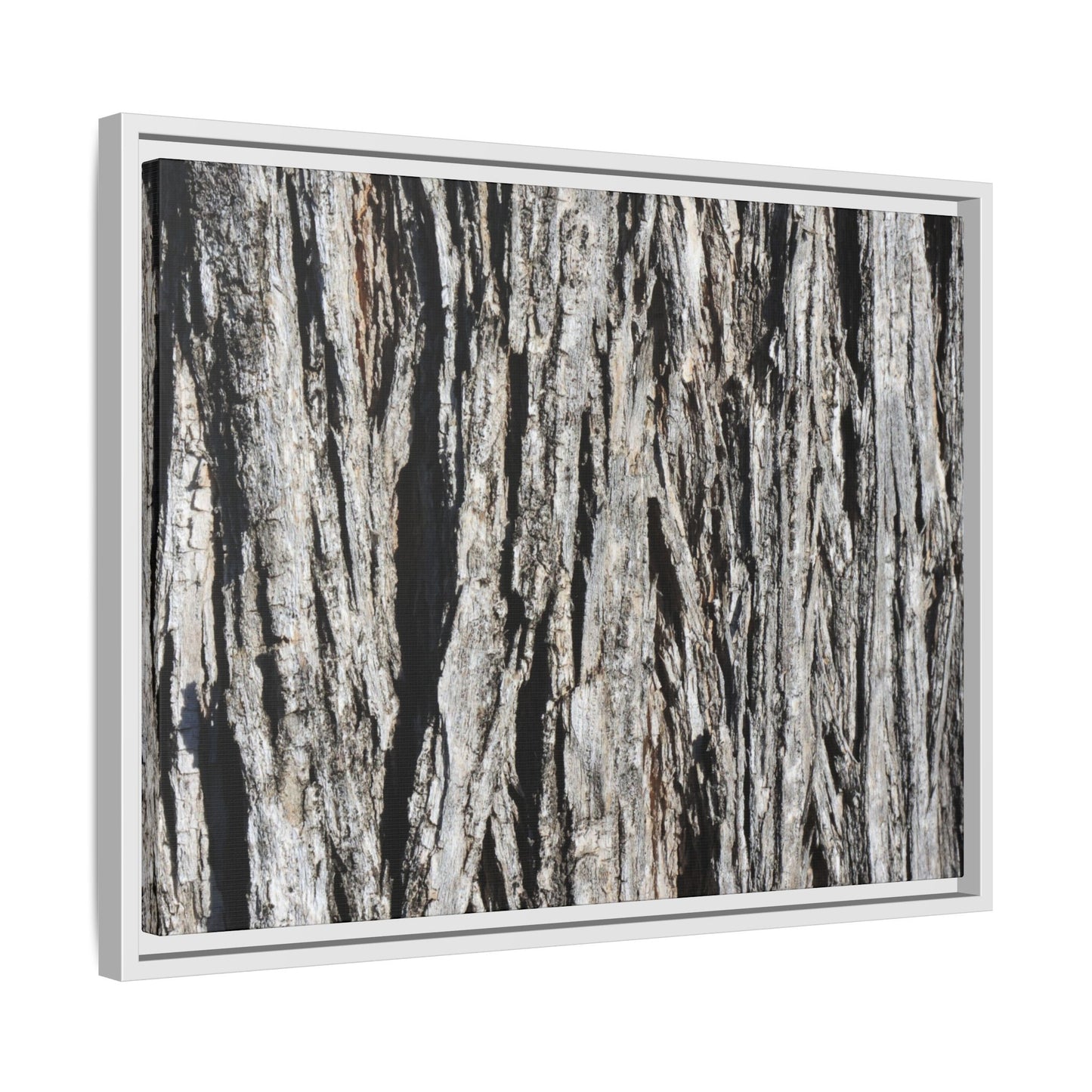 Nature's Abstract - Unique Stretched Canvas Wall Art - Art By Earth