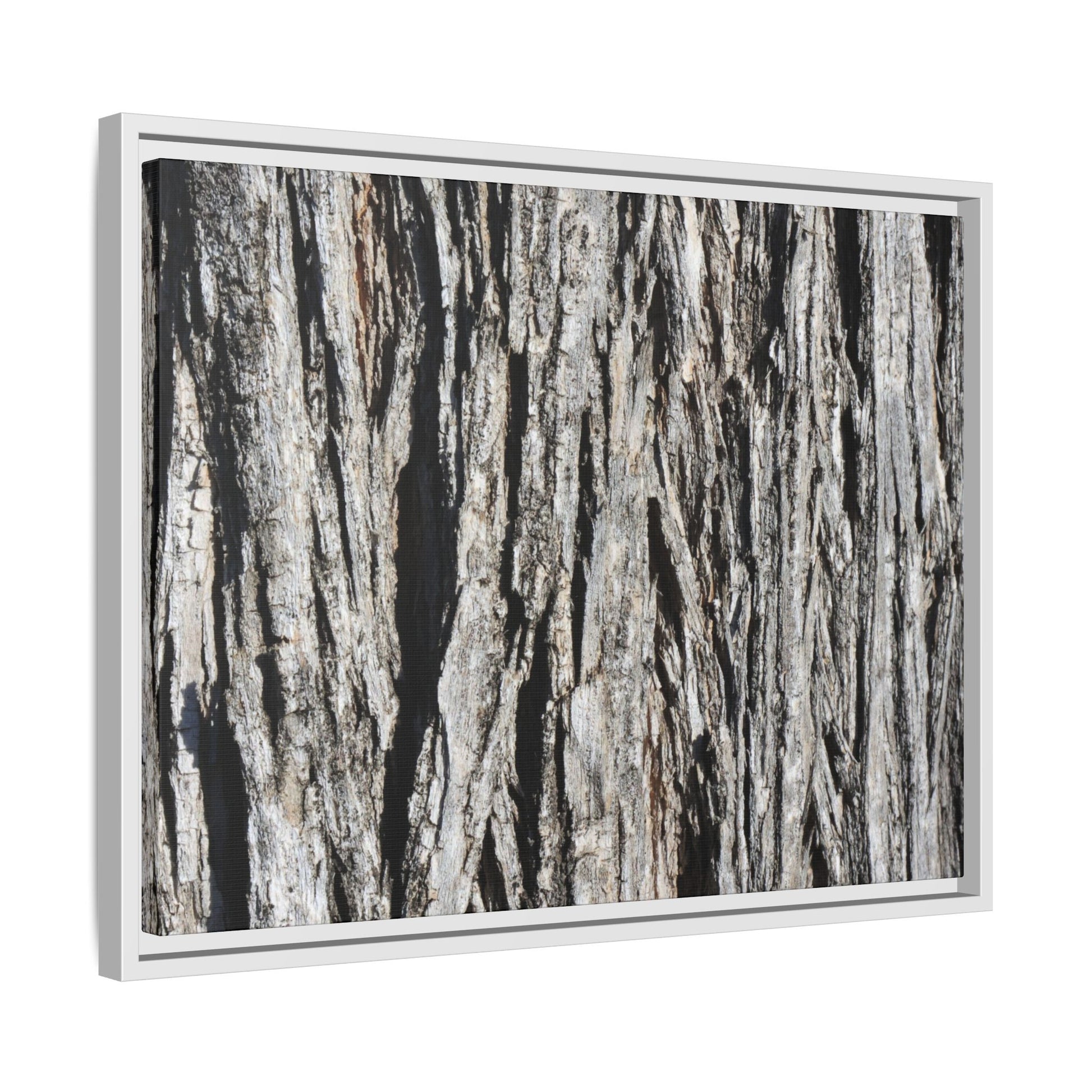 Nature's Abstract - Unique Stretched Canvas Wall Art - Art By Earth