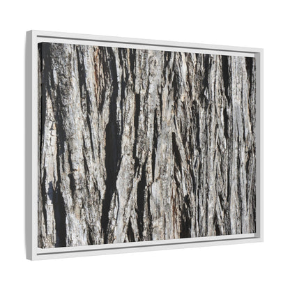 Nature's Abstract - Unique Stretched Canvas Wall Art - Art By Earth
