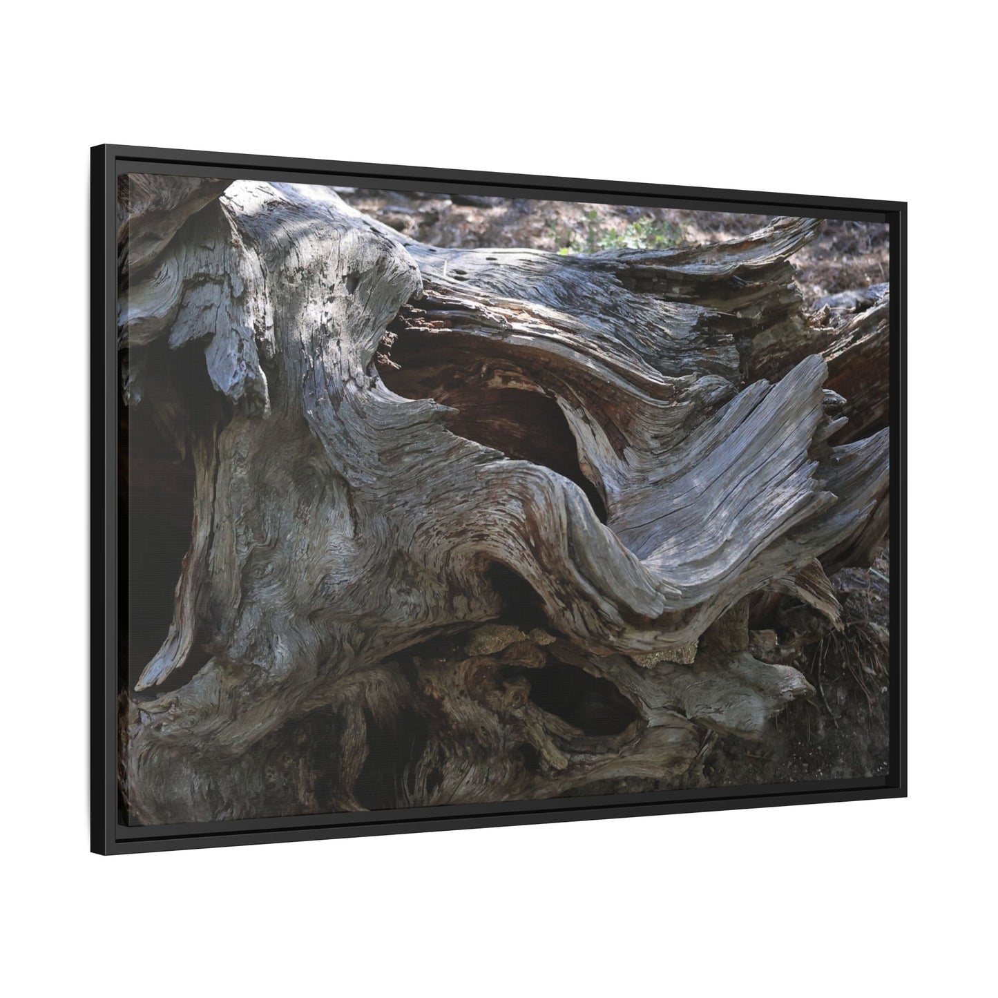Twisted Memories - Unique Stretched Canvas Wall Art - Art By Earth