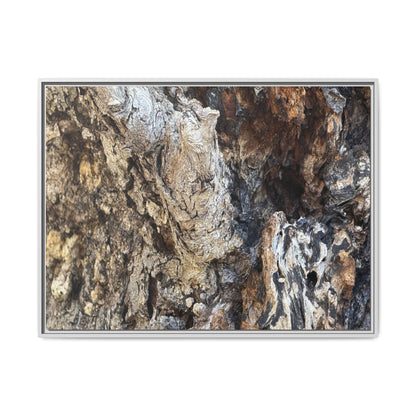 Ancient Tree Texture - Unique Stretched Canvas Wall Art - Art By Earth