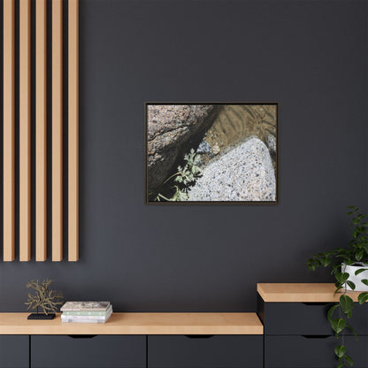 Resilience in Stone - Unique Stretched Canvas Wall Art - Art By Earth