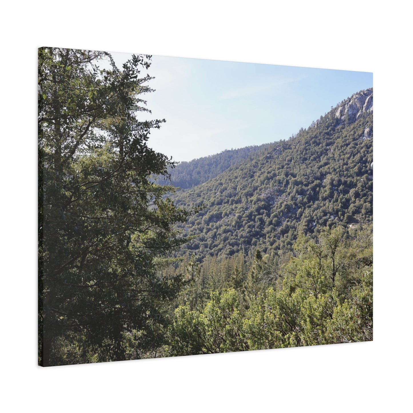 Mountain Vista Through Forest - Unique Frameless Canvas Wall Art