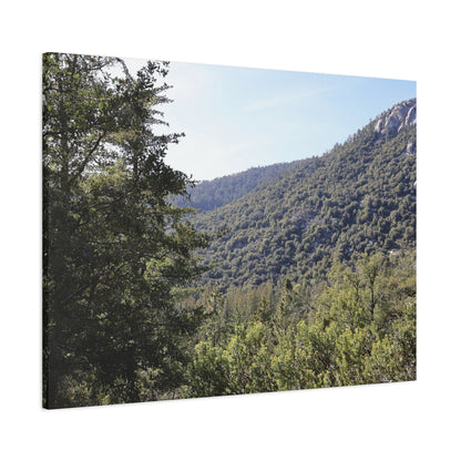 Mountain Vista Through Forest - Unique Frameless Canvas Wall Art