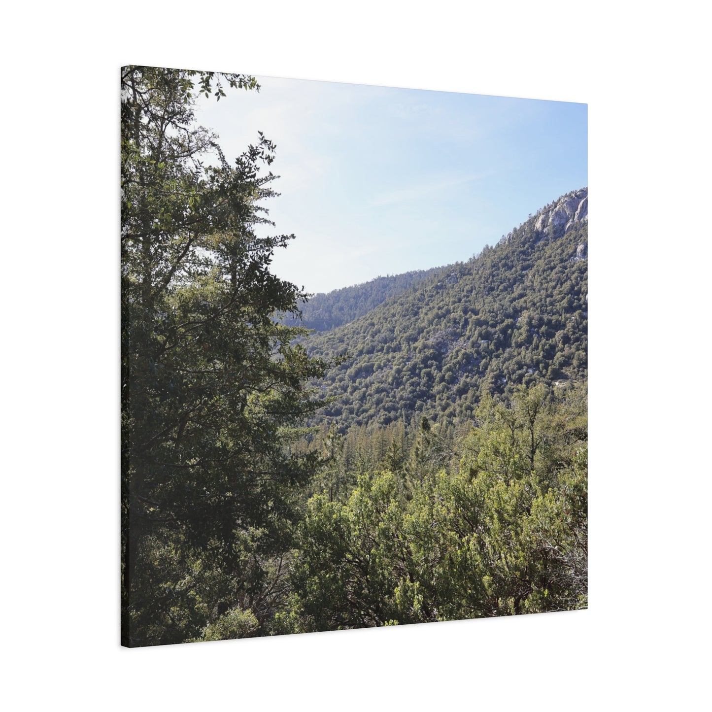 Mountain Vista Through Forest - Unique Frameless Canvas Wall Art