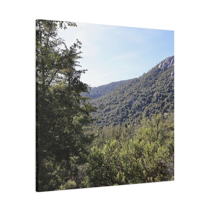 Mountain Vista Through Forest - Unique Frameless Canvas Wall Art
