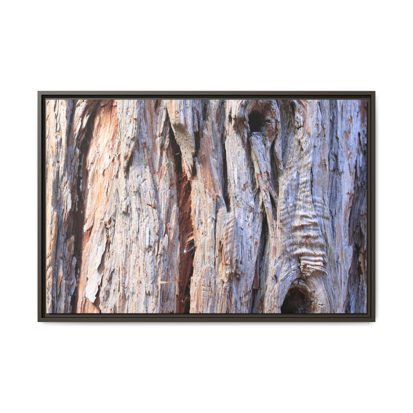 Nature's Grain - Unique Stretched Canvas Wall Art - Art By Earth