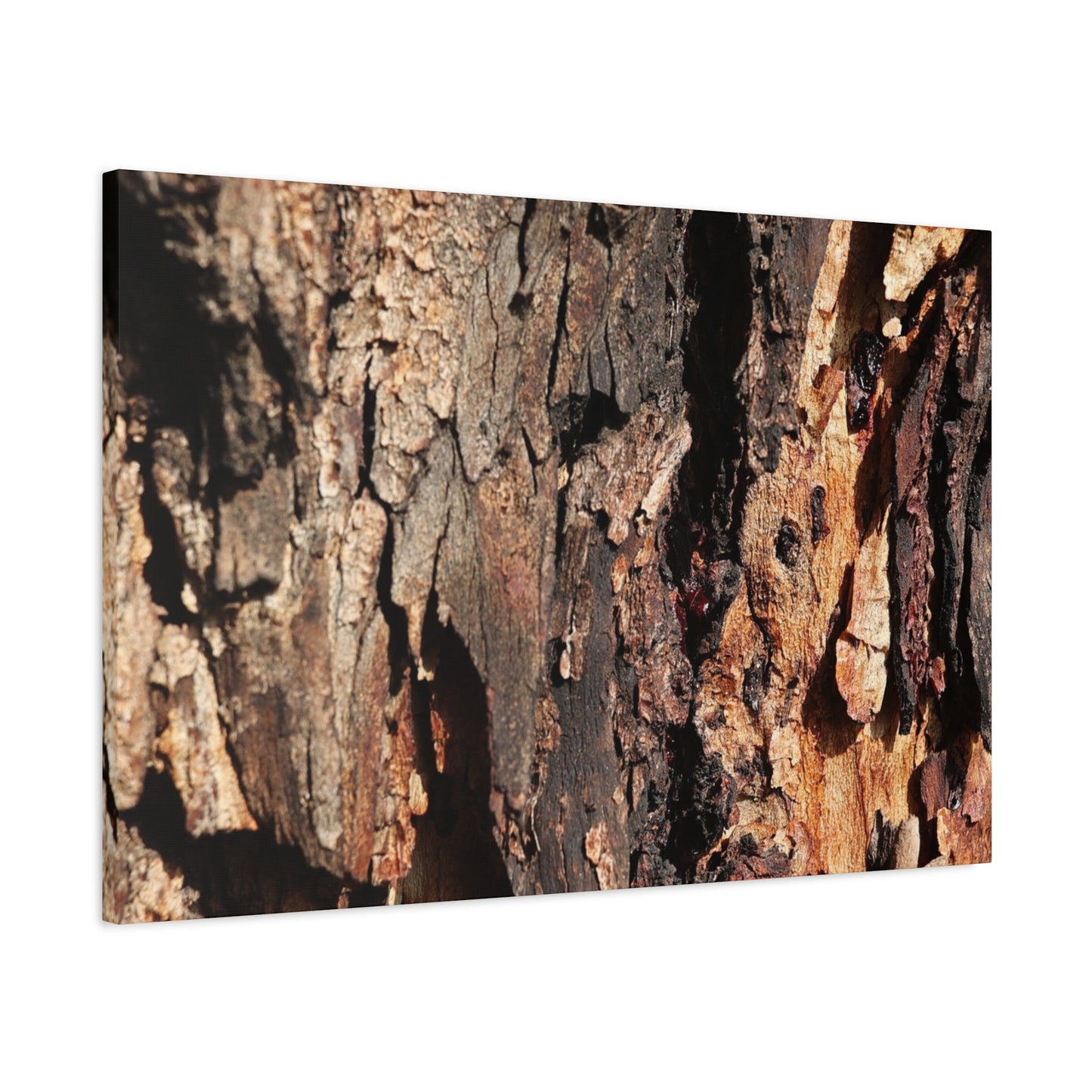 Wooden Terrain - Unique Frameless Canvas Wall Art - Art By Earth