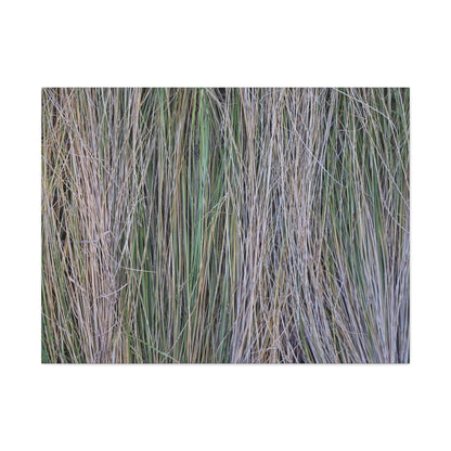 Whispers of Grass - Unique Frameless Canvas Wall Art - Art By Earth