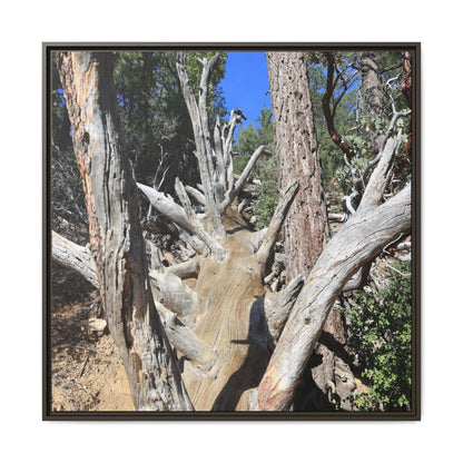 Forest Sentinels - Unique Stretched Canvas Wall Art
