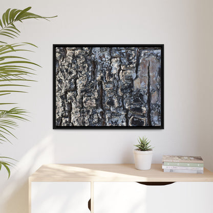 The Bark Chronicles - Unique Stretched Canvas Wall Art - Art By Earth