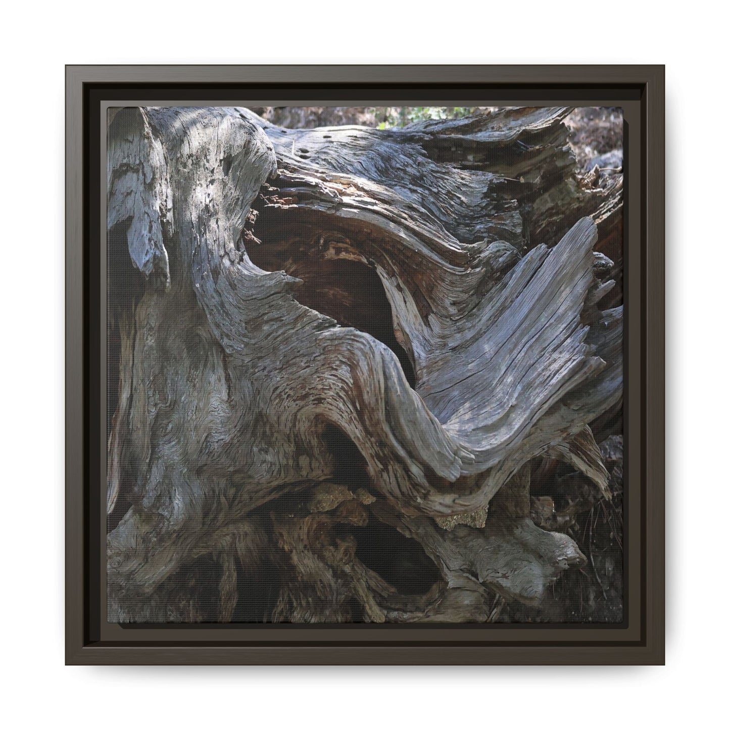 Twisted Memories - Unique Stretched Canvas Wall Art - Art By Earth