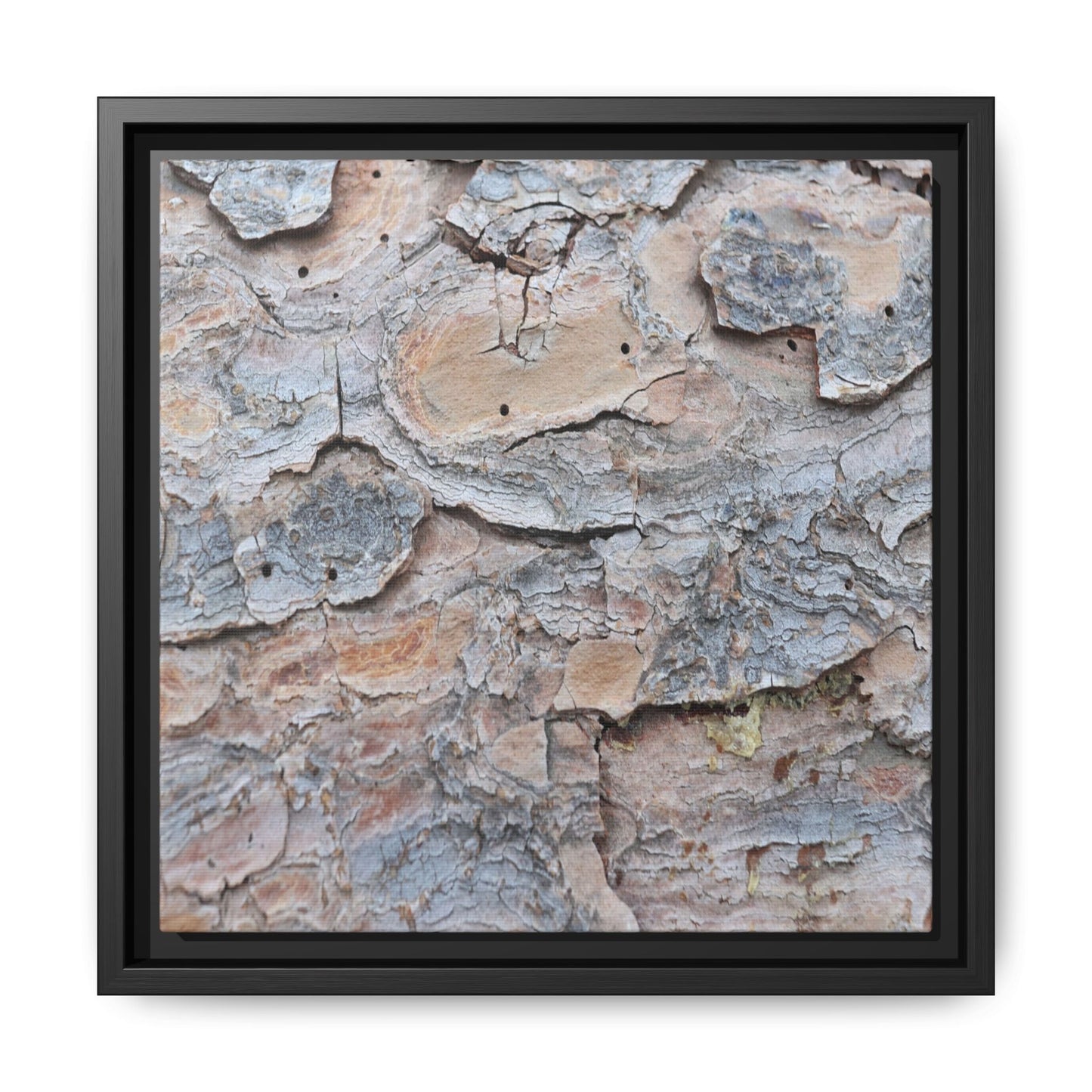 Peeling Memories - Unique Stretched Canvas Wall Art - Art By Earth