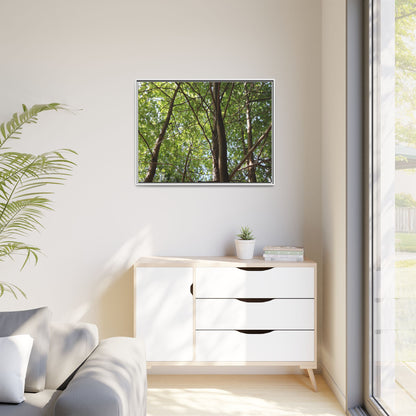 Forest Branches - Unique Stretched Canvas Wall Art
