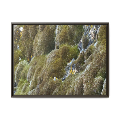 Moss Symphony - Unique Stretched Canvas Wall Art