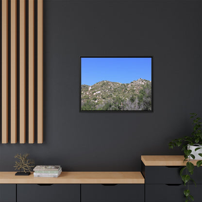Sparse Vegetation - Unique Stretched Canvas Wall Art