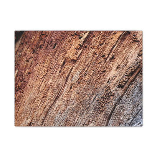 Natural Wood Grain - Unique Frameless Canvas Wall Art - Art By Earth