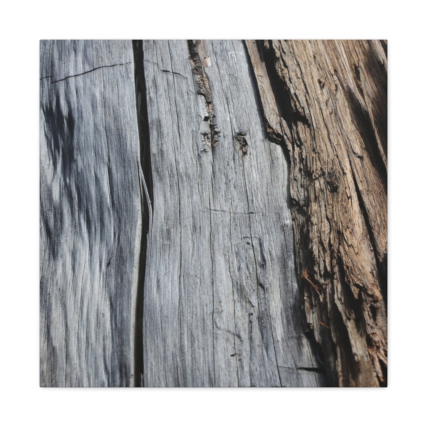 Fracture Lines - Unique Frameless Canvas Wall Art - Art By Earth