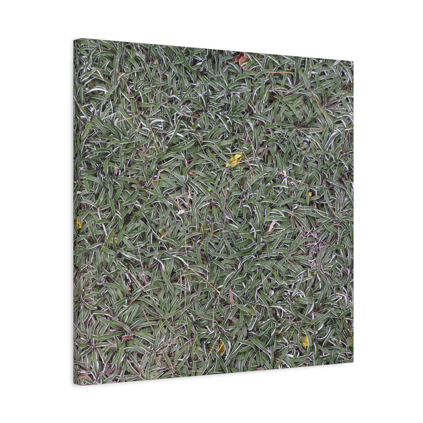 Tangled Memories - Unique Frameless Canvas Wall Art - Art By Earth