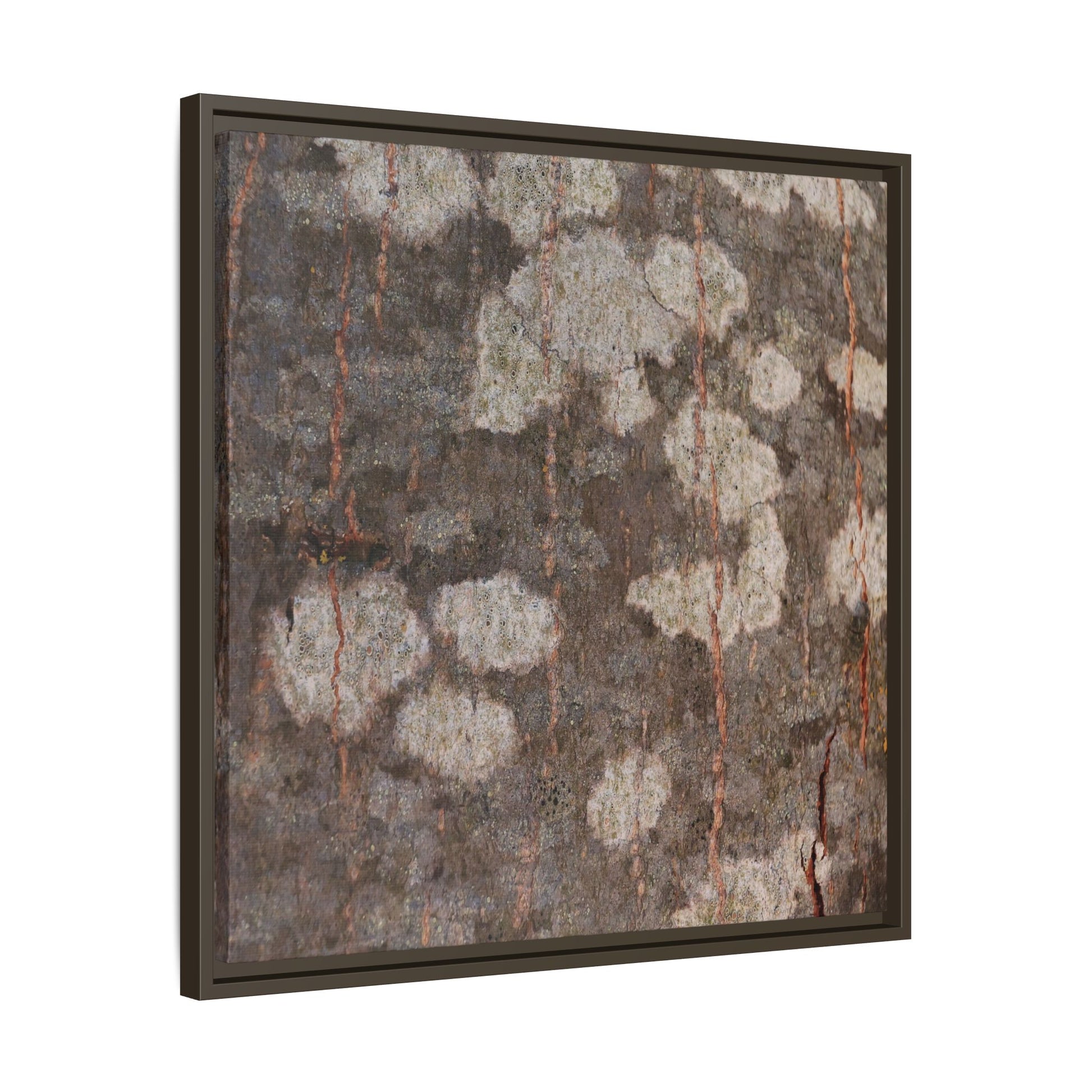 Lichen's Legacy - Unique Stretched Canvas Wall Art - Art By Earth