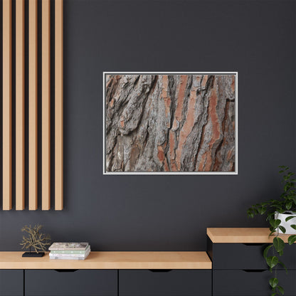 Woodland Layers - Unique Stretched Canvas Wall Art - Art By Earth
