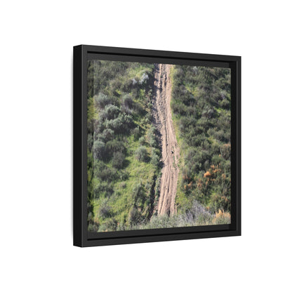 Desert Path Through Sage - Unique Stretched Canvas Wall Art - Art By Earth