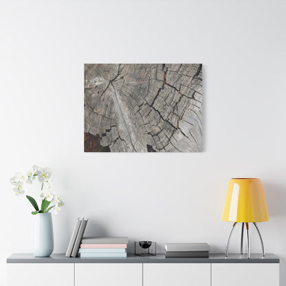 Cracked Memories - Unique Frameless Canvas Wall Art - Art By Earth