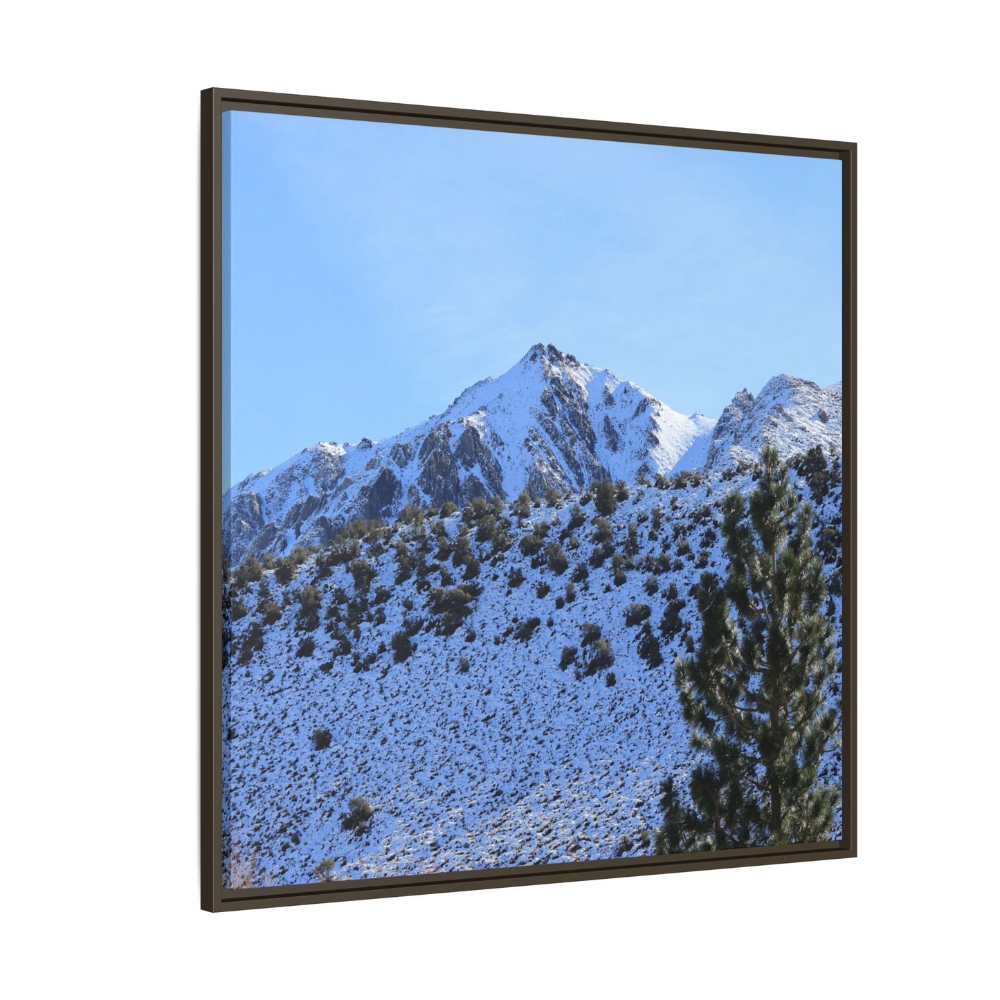 Snow's Embrace - Unique Stretched Canvas Wall Art