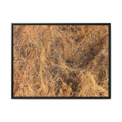 Dried Vegetation Study - Unique Stretched Canvas Wall Art - Art By Earth