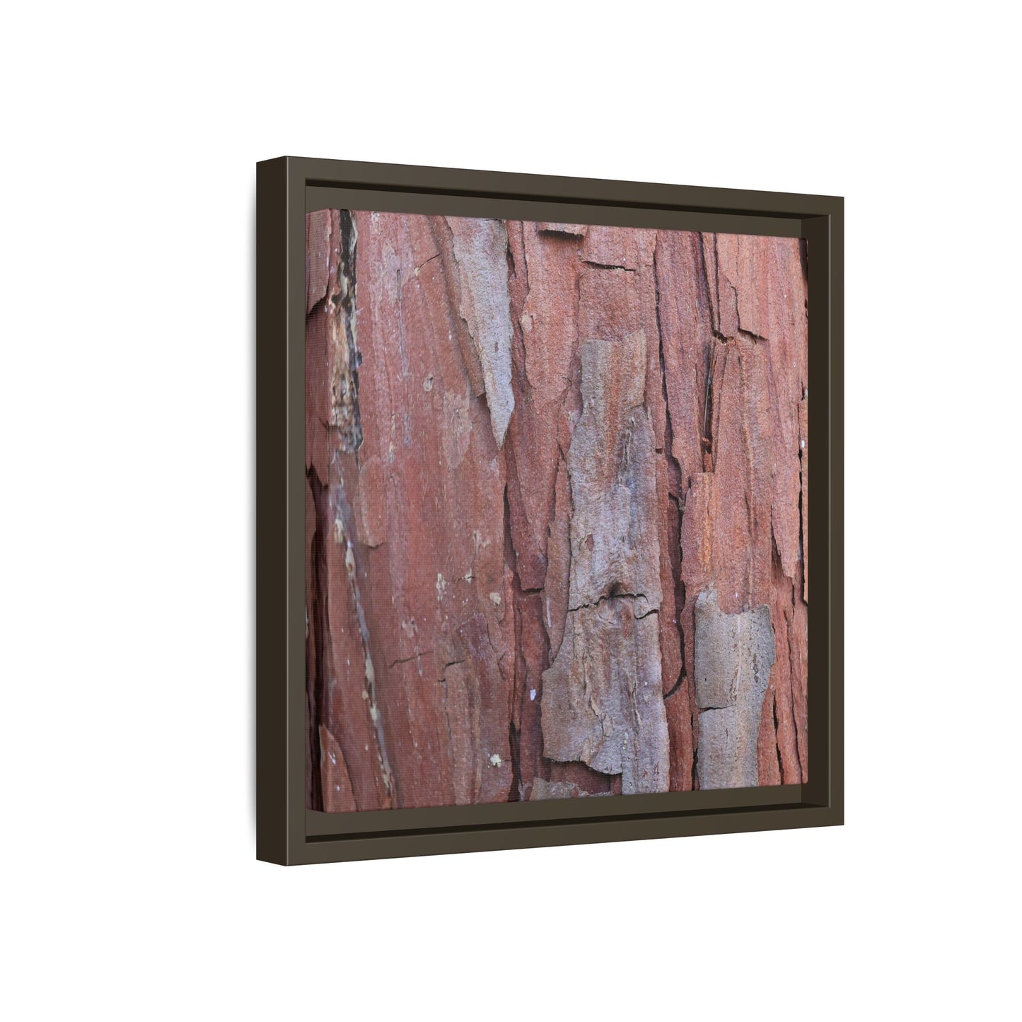 Peeling Bark - Unique Stretched Canvas Wall Art - Art By Earth