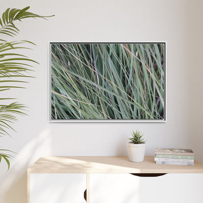 Grassland Symphony - Unique Stretched Canvas Wall Art - Art By Earth